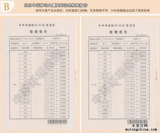 實際治理檢測報告